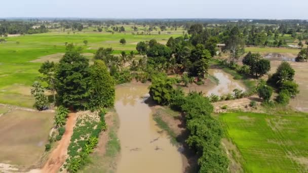 Drone Disparó Vista Aérea Paisaje Escénico Una Granja Agrícola Campo — Vídeos de Stock
