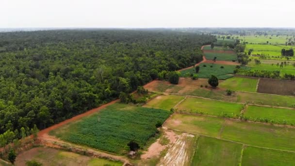 Drone Shot Luchtfoto Landschappelijk Landschap Van Een Landbouwbedrijf Tropisch Azië — Stockvideo