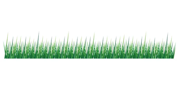 Grass Vector Isolated Transparent Background — Stock Vector