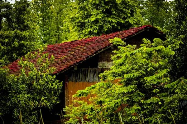 Casa Madeira Vintage Floresta — Fotografia de Stock