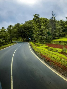 Ormandaki Yolun Fotoğrafı.