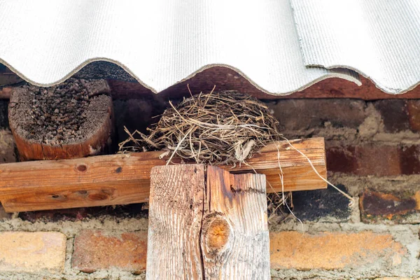 Bird\'s nest under the roof of the house.