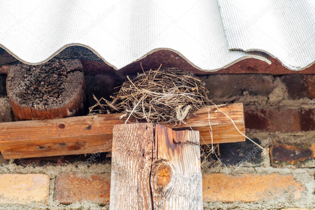 Bird's nest under the roof of the house.