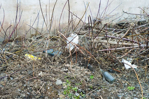 Ormanın doğası üzerine çöp. Kötü tüketim kültürü. Modern uygarlığın çevre üzerinde olumsuz bir etkisi vardır. Ekolojik felaket.