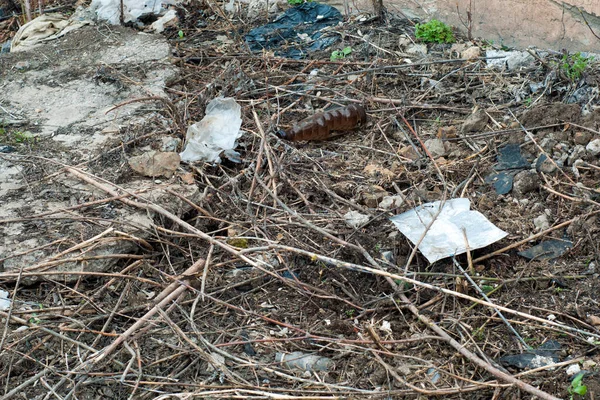 Ormandaki çöplük. Doğadaki plastik ve diğer ambalaj malzemeleriyle çöp kirliliği. Ekolojik kavram.