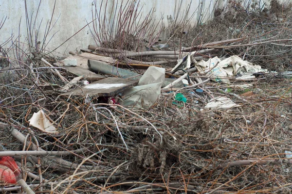 Garbage on the nature of the forest. Bad consumption culture. Modern civilization has a negative impact on the environment. Ecological catastrophy.