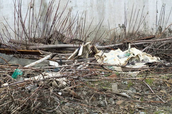 Ormandaki çöplük. Doğadaki plastik ve diğer ambalaj malzemeleriyle çöp kirliliği. Ekolojik kavram.