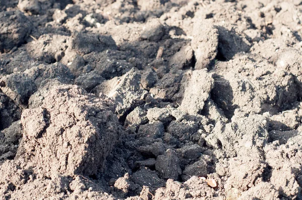 Bodem Aarde Grond Dicht Bij Elkaar — Stockfoto