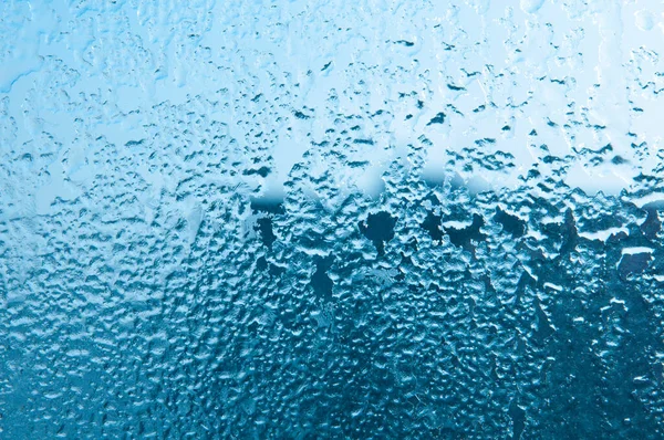 Donmuş cam. Nem üzerine buz ve cam..