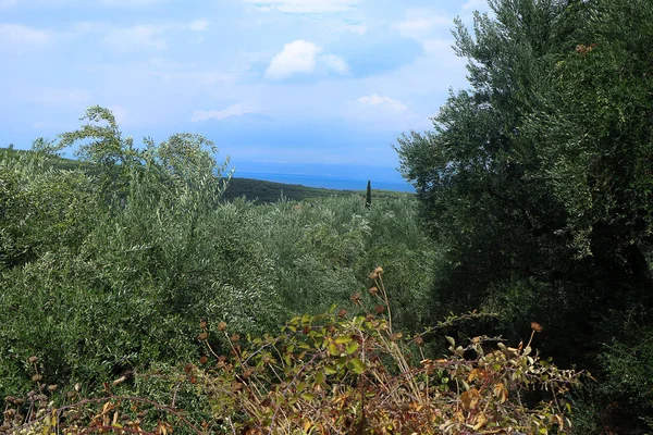 Nanılmaz Bir Kır Manzarası — Stok fotoğraf