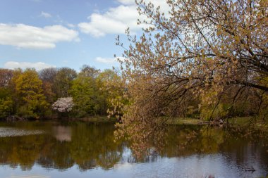 Şehir gölünün çarpıcı manzarası