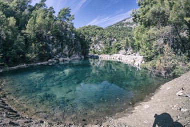 Berrak bir dağ gölünde dalgalanmalar