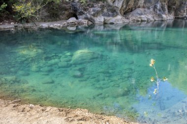 Berrak bir dağ gölünde dalgalanmalar