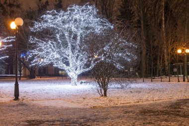 Parktaki dekore edilmiş ağaç