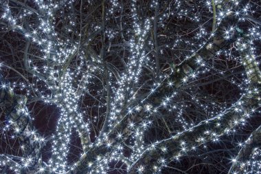 Parktaki dekore edilmiş ağaç