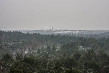 Kardaki yeşil ormanın manzarası