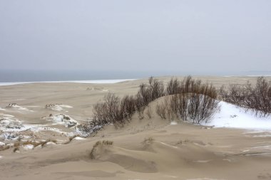 Deniz kenarında karla kaplı bir çöl.