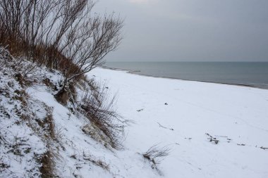 Deniz kenarında karla kaplı bir çöl.