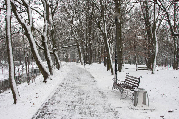 Bench in a snowy park