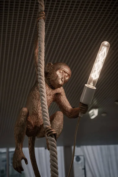 Mono Sobre Una Cuerda Con Una Lámpara Sus Manos — Foto de Stock