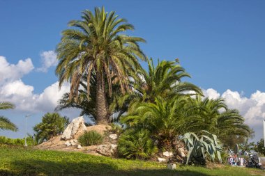 Gökyüzüne karşı yeşil ağaçlar, çimenler ve taşlar