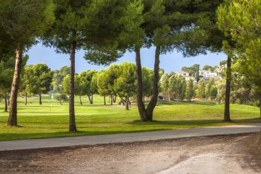 Yeşil ağaçlı ve çimenli golf sahası