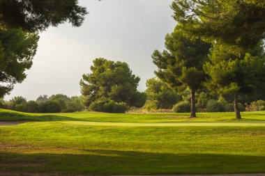 Yeşil ağaçlı ve çimenli golf sahası