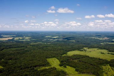 Gökyüzünün altında tarlaları olan yeşil ormanlar
