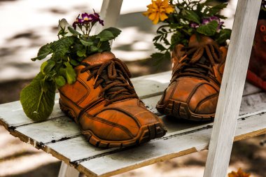 Sandalyedeki ayakkabılardan güzel çiçekler çıkar.