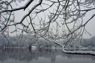 Karlı ağaçlarla çevrili donmuş nehir.