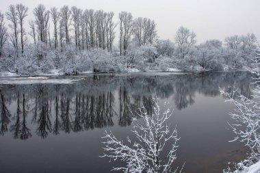 Karlı ağaçlarla çevrili donmuş nehir.