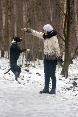 Kız kış ormanında köpeğiyle oynuyor.