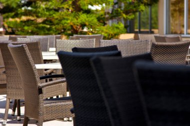 Sandalyeler yeşil ağaçların arka planına karşı terasta duruyor