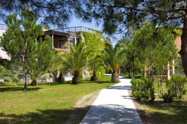 Geçit, çimen, palmiye ağaçları ve küçük evler