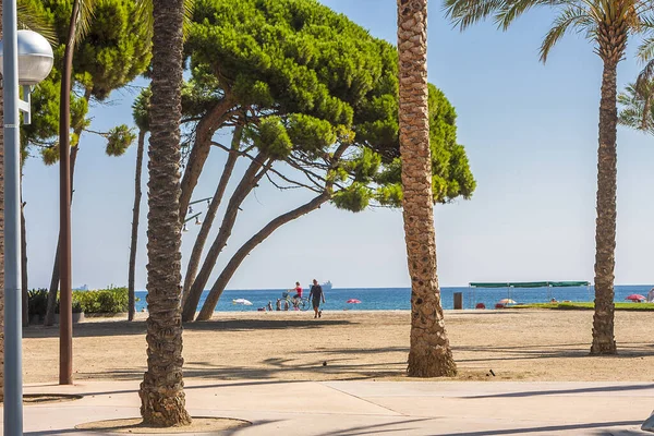 暖かいビーチの背景にある木と砂 — ストック写真