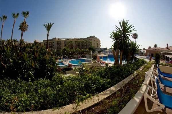 Palmen Pool Himmel Gebäude Und Sonne — Stockfoto