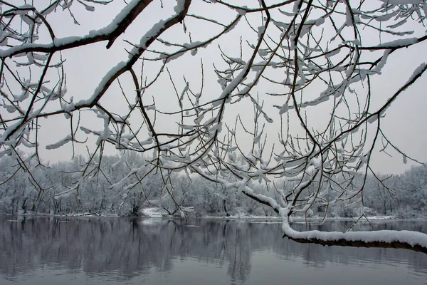 Fiume Scongelato Circondato Alberi Innevati — Foto Stock