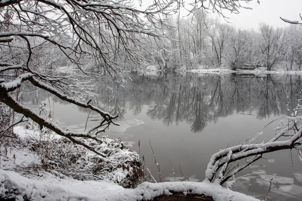 Niezamarznięta Rzeka Otoczona Śnieżnymi Drzewami — Zdjęcie stockowe