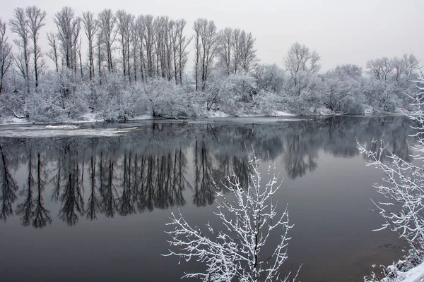 Размороженная Река Окруженная Снежными Деревьями — стоковое фото