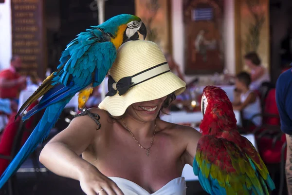 Uma Arara Morde Uma Menina Atrás Sua Cabeça Outros Relógios — Fotografia de Stock