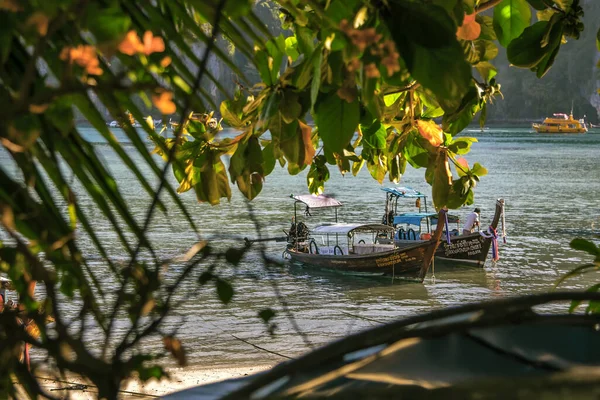 Teknelerin Yeşilliklerinden Deniz Kıyısından Bak — Stok fotoğraf