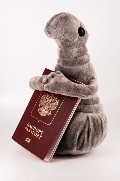 Pluszowy Zhdun Rosyjskim Paszportem Rękach — Zdjęcie stockowe