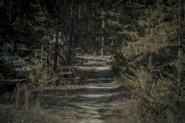 Centro Ricreativo Abbandonato Nella Foresta Russia — Foto Stock