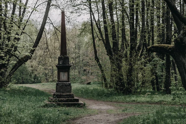 Old Ancient Pillar Stands Clearing Forest — Stock Photo, Image