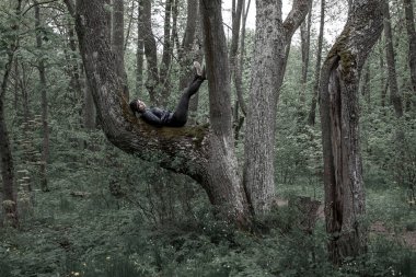 Gizemli bir ormanda ağaçta oturan bir kız.