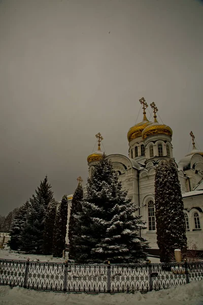 Райфа Богородицкий Мужской Православный Монастырь — стоковое фото