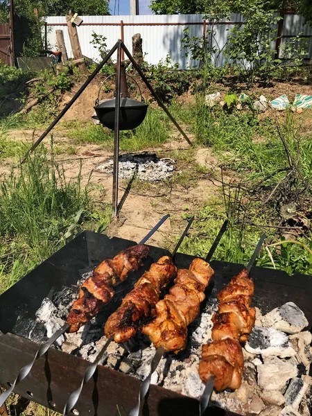 Grillen Kebab Een Picknick — Stockfoto