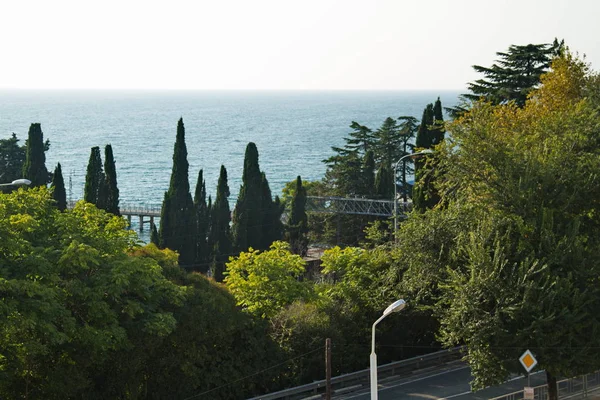 Vista Carretera Costera Sochi Rusia — Foto de Stock