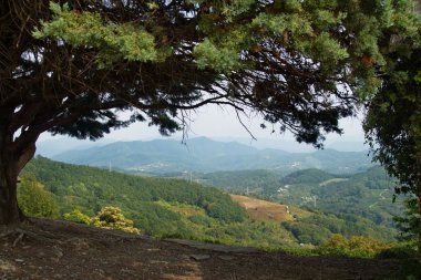 Rusya 'nın Soçi yakınlarındaki Kafkas dağlarının manzarası..