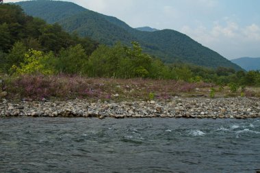 Rusya 'nın Krasnodar bölgesindeki Sochi şehrinin yakınlarındaki bir dağ nehri..